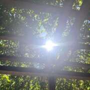 ヒメ日記 2025/07/02 07:54 投稿 夏目みな 五十路マダム 新潟店(カサブランカグループ)