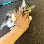 ヒメ日記 2025/07/09 11:30 投稿 夏目みな 五十路マダム 新潟店(カサブランカグループ)