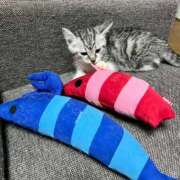 ヒメ日記 2025/07/13 09:12 投稿 夏目みな 五十路マダム 新潟店(カサブランカグループ)