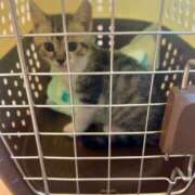 ヒメ日記 2025/07/16 09:28 投稿 夏目みな 五十路マダム 新潟店(カサブランカグループ)