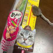 ヒメ日記 2025/07/21 19:46 投稿 夏目みな 五十路マダム 新潟店(カサブランカグループ)