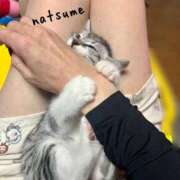 ヒメ日記 2025/07/27 20:14 投稿 夏目みな 五十路マダム 新潟店(カサブランカグループ)