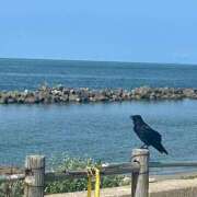 ヒメ日記 2025/09/19 10:12 投稿 夏目みな 五十路マダム 新潟店(カサブランカグループ)