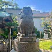 ヒメ日記 2025/09/19 14:24 投稿 夏目みな 五十路マダム 新潟店(カサブランカグループ)