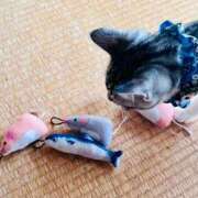 ヒメ日記 2025/09/23 09:42 投稿 夏目みな 五十路マダム 新潟店(カサブランカグループ)