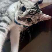 ヒメ日記 2025/09/29 20:18 投稿 夏目みな 五十路マダム 新潟店(カサブランカグループ)