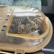 ヒメ日記 2025/10/28 11:12 投稿 夏目みな 五十路マダム 新潟店(カサブランカグループ)