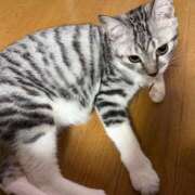 ヒメ日記 2025/11/25 10:14 投稿 夏目みな 五十路マダム 新潟店(カサブランカグループ)