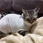 ヒメ日記 2025/11/28 07:04 投稿 夏目みな 五十路マダム 新潟店(カサブランカグループ)