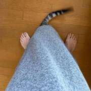 ヒメ日記 2025/12/18 09:14 投稿 夏目みな 五十路マダム 新潟店(カサブランカグループ)