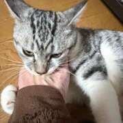 ヒメ日記 2025/12/28 15:30 投稿 夏目みな 五十路マダム 新潟店(カサブランカグループ)