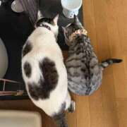 ヒメ日記 2026/01/16 15:32 投稿 夏目みな 五十路マダム 新潟店(カサブランカグループ)