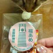 ヒメ日記 2026/01/27 09:20 投稿 夏目みな 五十路マダム 新潟店(カサブランカグループ)