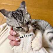 ヒメ日記 2026/02/04 10:18 投稿 夏目みな 五十路マダム 新潟店(カサブランカグループ)