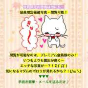 ヒメ日記 2026/02/11 15:04 投稿 夏目みな 五十路マダム 新潟店(カサブランカグループ)