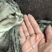 ヒメ日記 2026/02/20 19:32 投稿 夏目みな 五十路マダム 新潟店(カサブランカグループ)