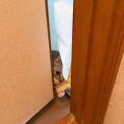 ヒメ日記 2026/02/21 09:32 投稿 夏目みな 五十路マダム 新潟店(カサブランカグループ)