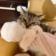 ヒメ日記 2026/03/11 21:34 投稿 夏目みな 五十路マダム 新潟店(カサブランカグループ)