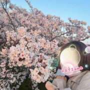 ヒメ日記 2026/04/01 09:52 投稿 夏目みな 五十路マダム 新潟店(カサブランカグループ)