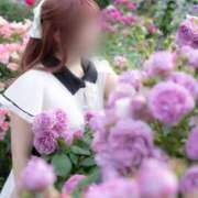 ヒメ日記 2025/09/04 22:37 投稿 なぎさ SKY(スカイ)