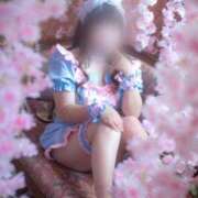 ヒメ日記 2025/11/18 13:09 投稿 なぎさ SKY(スカイ)