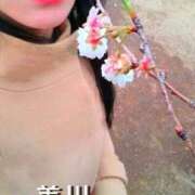 ヒメ日記 2025/04/10 18:48 投稿 美川(みかわ)奥様 金沢の20代30代40代50代が集う人妻倶楽部