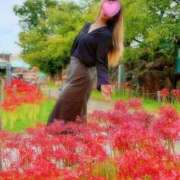 ヒメ日記 2025/10/04 12:51 投稿 美川(みかわ)奥様 金沢の20代30代40代50代が集う人妻倶楽部