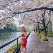 ヒメ日記 2026/04/05 15:33 投稿 美川(みかわ)奥様 金沢の20代30代40代50代が集う人妻倶楽部