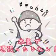 ヒメ日記 2025/09/19 09:14 投稿 カヨ シャングリラ