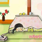 ヒメ日記 2025/11/22 08:09 投稿 カヨ シャングリラ