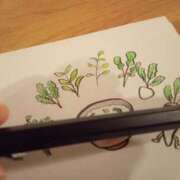 ヒメ日記 2026/01/07 08:04 投稿 カヨ シャングリラ