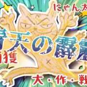 ヒメ日記 2026/08/05 09:29 投稿 カヨ シャングリラ