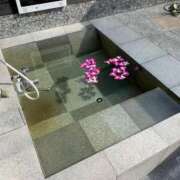 ヒメ日記 2025/03/15 06:43 投稿 れん 熟女の風俗最終章 八王子店