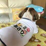 ヒメ日記 2025/03/15 10:03 投稿 れん 熟女の風俗最終章 八王子店