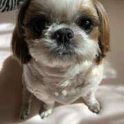 ヒメ日記 2025/05/21 05:13 投稿 れん 熟女の風俗最終章 八王子店