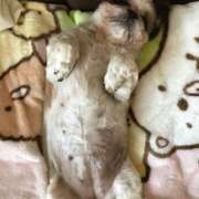 ヒメ日記 2025/07/02 12:53 投稿 れん 熟女の風俗最終章 八王子店