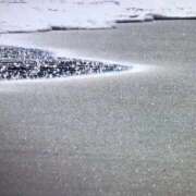 ヒメ日記 2025/09/07 09:26 投稿 れん 熟女の風俗最終章 八王子店