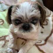 ヒメ日記 2025/11/29 08:55 投稿 れん 熟女の風俗最終章 八王子店