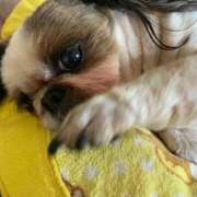 ヒメ日記 2025/12/25 09:24 投稿 れん 熟女の風俗最終章 八王子店