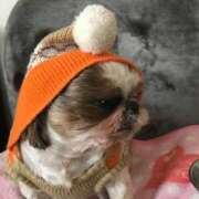 ヒメ日記 2026/02/08 11:24 投稿 れん 熟女の風俗最終章 八王子店