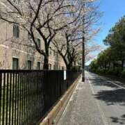 ヒメ日記 2025/04/07 16:24 投稿 れん 熟女の風俗最終章 立川店