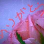 ヒメ日記 2025/04/16 20:13 投稿 れん 熟女の風俗最終章 立川店