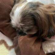 ヒメ日記 2025/07/09 10:23 投稿 れん 熟女の風俗最終章 立川店