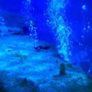 ヒメ日記 2025/07/20 09:05 投稿 れん 熟女の風俗最終章 立川店