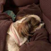 ヒメ日記 2026/02/21 12:31 投稿 れん 熟女の風俗最終章 立川店