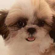 ヒメ日記 2026/04/12 19:13 投稿 れん 熟女の風俗最終章 立川店