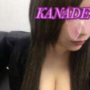 ヒメ日記 2025/10/22 13:31 投稿 カナデ EN