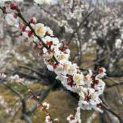 ヒメ日記 2025/02/22 18:53 投稿 あすか【FG系列】 フィーリングin厚木【FG系列】