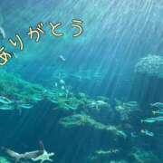 ヒメ日記 2024/11/15 01:58 投稿 ゆりあ 北九州人妻倶楽部（三十路、四十路、五十路）