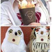 ヒメ日記 2025/06/20 17:35 投稿 りん スピードエコ梅田店